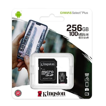 KINGSTON MICRO SD + ADATTATORE CL10 256GB